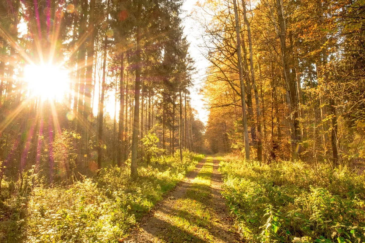 A Seasonal Checklist for Autumn Evening Events in the UK: What to Wear, Book and Bring